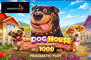Game 3 Jvspin Casino